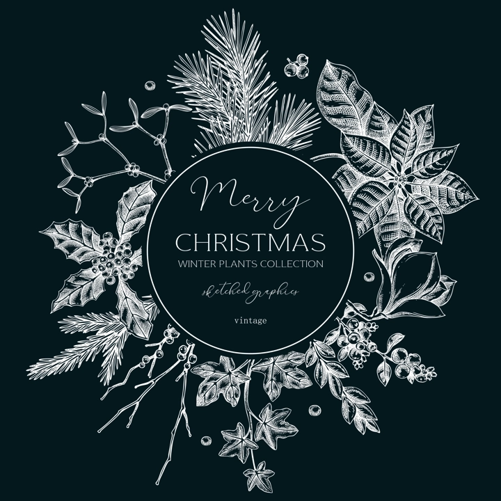 Winter nature wreath design. Christams card template. Conifer trees, winter flowers sketches. Hand-drawn vector illustration on chalkboard. NOT AI generated